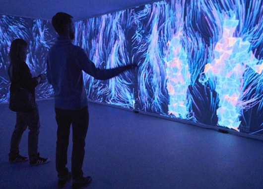  Multimedia somatosensory interactive projection in exhibition hall - curious digital technology
