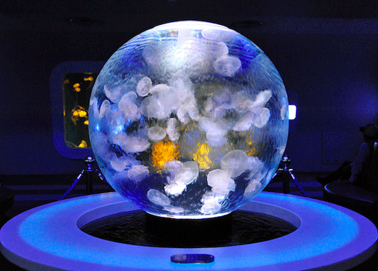  Application scenarios of ball screen projection in stage performances and ktv places