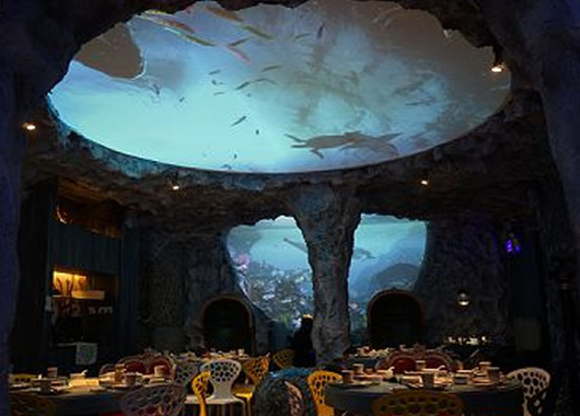  The application scene of skyline projection in restaurants