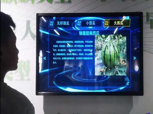  Interactive LCD touch screen inquiry all-in-one machine - curious digital technology