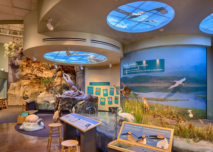 Science Popularization Hall Multimedia - Curious Digital Technology
