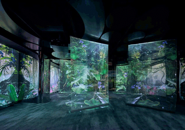  Immersive projection
