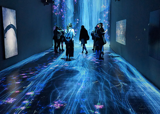  Application scenario of immersive projection in exhibition hall