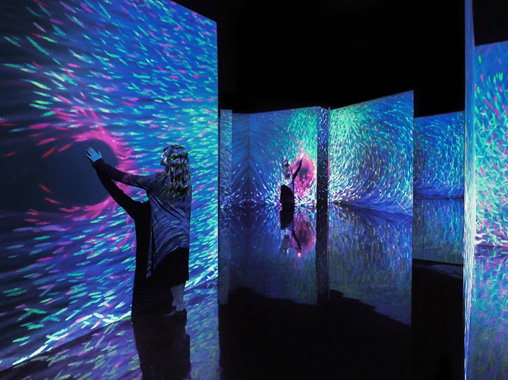  Immersive projection