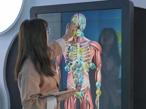  LCD touch interactive inquiry all-in-one machine - relationship diagram between mouth and organ