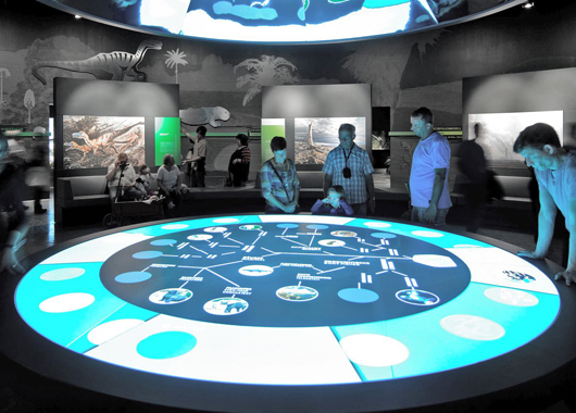  Application scenario of object recognition technology in nature museum - curious digital technology