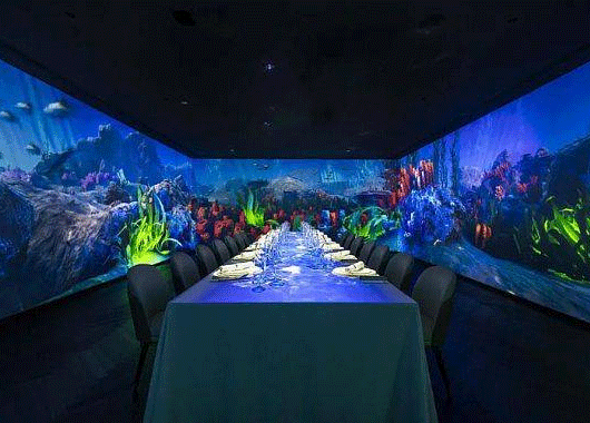  Application of Folding Screen Projection in Theme Restaurant