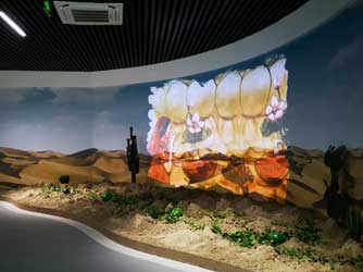  Wall arc screen projection - curious digital technology