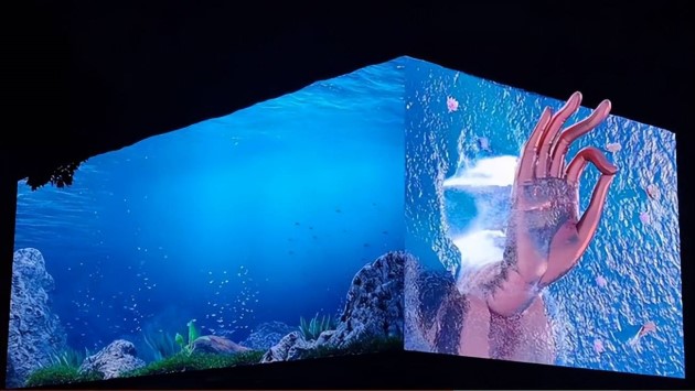  Naked eye 3D