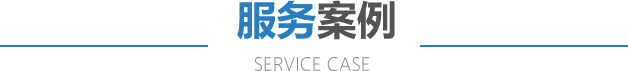  Service case